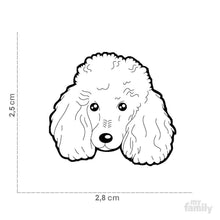 Load image into Gallery viewer, Médaille pour chien collection Friends, CANICHE, Couleurs variées - Boutique Le Jardin Des Animaux -médailleBoutique Le Jardin Des AnimauxMF20BLACK