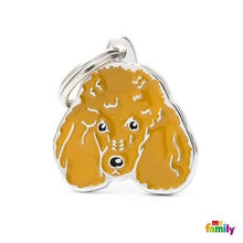 Load image into Gallery viewer, Médaille pour chien collection Friends, CANICHE, Couleurs variées - Boutique Le Jardin Des Animaux -médailleBoutique Le Jardin Des AnimauxMF20NORANGE