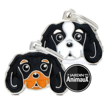 Load image into Gallery viewer, Médaille pour chien collection Friends, CAVALIER KING, Couleurs variées - Boutique Le Jardin Des Animaux -médailleBoutique Le Jardin Des AnimauxMF22COLORED3