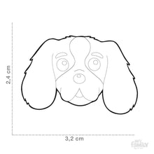 Load image into Gallery viewer, Médaille pour chien collection Friends, CAVALIER KING, Couleurs variées - Boutique Le Jardin Des Animaux -médailleBoutique Le Jardin Des AnimauxMF22COLORED3
