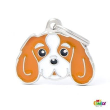 Load image into Gallery viewer, Médaille pour chien collection Friends, CAVALIER KING, Couleurs variées - Boutique Le Jardin Des Animaux -médailleBoutique Le Jardin Des AnimauxMF22ORANGE