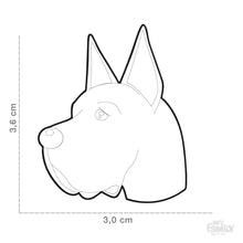 Load image into Gallery viewer, Médaille pour chien collection Friends, DANOIS, Couleurs variées - Boutique Le Jardin Des Animaux -médailleBoutique Le Jardin Des AnimauxMF01