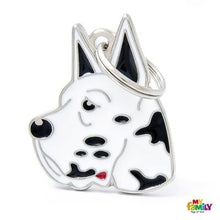 Load image into Gallery viewer, Médaille pour chien collection Friends, DANOIS, Couleurs variées - Boutique Le Jardin Des Animaux -médailleBoutique Le Jardin Des AnimauxMF01ARLE