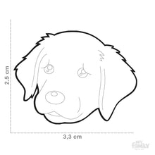 Load image into Gallery viewer, Médaille pour chien collection Friends, GOLDEN RETRIEVER - Boutique Le Jardin Des Animaux -médailleBoutique Le Jardin Des AnimauxMF30