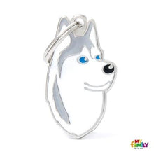 Load image into Gallery viewer, Médaille pour chien collection Friends, HUSKY, Couleurs variées - Boutique Le Jardin Des Animaux -médailleBoutique Le Jardin Des AnimauxMF13