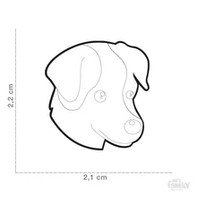 Load image into Gallery viewer, Médaille pour chien collection Friends, JACK RUSSELL, couleurs variées - Boutique Le Jardin Des Animaux -médailleBoutique Le Jardin Des AnimauxMF25ORANGE