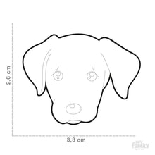 Load image into Gallery viewer, Médaille pour chien collection Friends, LABRADOR, Couleurs variées - Boutique Le Jardin Des Animaux -médailleBoutique Le Jardin Des AnimauxMF31BLACK