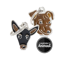 Load image into Gallery viewer, Médaille pour chien collection Friends, PINSCHER, couleurs variées - Boutique Le Jardin Des Animaux -médailleBoutique Le Jardin Des AnimauxMF26BLACK