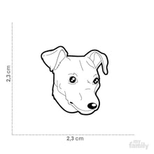 Load image into Gallery viewer, Médaille pour chien collection Friends, PINSCHER, couleurs variées - Boutique Le Jardin Des Animaux -médailleBoutique Le Jardin Des AnimauxMF26BLACK