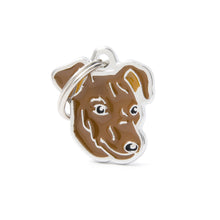 Load image into Gallery viewer, Médaille pour chien collection Friends, PINSCHER, couleurs variées - Boutique Le Jardin Des Animaux -médailleBoutique Le Jardin Des AnimauxMF26NBROWN