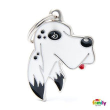 Load image into Gallery viewer, Médaille pour chien collection Friends, SETTER, Couleurs variées - Boutique Le Jardin Des Animaux -médailleBoutique Le Jardin Des AnimauxMF28ENGLISH