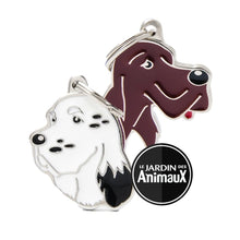 Load image into Gallery viewer, Médaille pour chien collection Friends, SETTER, Couleurs variées - Boutique Le Jardin Des Animaux -médailleBoutique Le Jardin Des AnimauxMF28ENGLISH