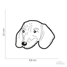 Load image into Gallery viewer, Médaille pour chien collection Friends, TECKELL, Couleurs variées - Boutique Le Jardin Des Animaux -médailleBoutique Le Jardin Des AnimauxMF19NBROWN