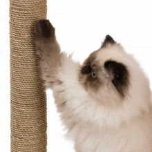 Load image into Gallery viewer, Meuble Box Vesper Petit – noyer, arbre à chat - Boutique Le Jardin Des Animaux -Griffoir, meuble et litBoutique Le Jardin Des Animaux