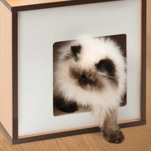 Load image into Gallery viewer, Meuble Box Vesper Petit – noyer, arbre à chat - Boutique Le Jardin Des Animaux -Griffoir, meuble et litBoutique Le Jardin Des Animaux