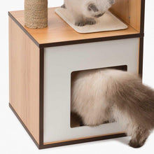 Load image into Gallery viewer, Meuble Box Vesper Petit – noyer, arbre à chat - Boutique Le Jardin Des Animaux -Griffoir, meuble et litBoutique Le Jardin Des Animaux