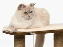 Load image into Gallery viewer, Meuble High Base Vesper – chêne, arbre à chat - Boutique Le Jardin Des Animaux -Griffoir, meuble et litBoutique Le Jardin Des Animaux52042