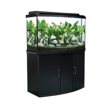 Load image into Gallery viewer, Meuble pour aquarium équipé (45 à devant arrondi), 170 L (45 gal US), noir - Boutique Le Jardin Des Animaux -meuble aquariumBoutique Le Jardin Des Animaux15768