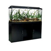 Load image into Gallery viewer, Meuble pour aquarium équipé (55), 208 L (55 gal US), noir - Boutique Le Jardin Des Animaux -meuble aquariumBoutique Le Jardin Des Animaux15764