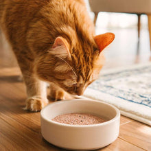 Load image into Gallery viewer, Nourriture crue pour chat Faim Museau - Poulet et saumon - Boutique Le Jardin Des Animaux -Nourriture chatBoutique Le Jardin Des Animaux