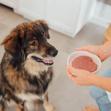 Load image into Gallery viewer, Nourriture crue pour chien Faim Museau - Canard & Agneau - Boutique Le Jardin Des Animaux -Nourriture chienBoutique Le Jardin Des Animaux