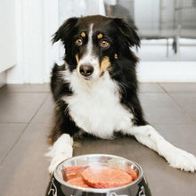 Load image into Gallery viewer, Nourriture crue pour chien Faim Museau - Simplement Dinde - Boutique Le Jardin Des Animaux -Nourriture chienBoutique Le Jardin Des AnimauxECHDINDE