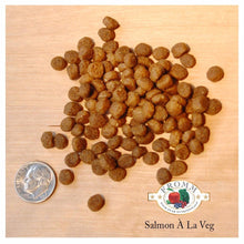 Load image into Gallery viewer, Nourriture Fromm Four Stars chat Saumon à la Veg - Boutique Le Jardin Des Animaux -Nourriture chatBoutique Le Jardin Des Animaux11676