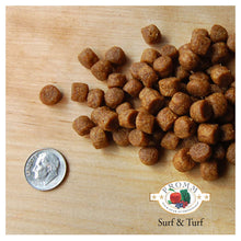 Load image into Gallery viewer, Nourriture Fromm Four Stars chien Sans Grains chien Pré et marée - Boutique Le Jardin Des Animaux -Nourriture chienBoutique Le Jardin Des Animaux11654