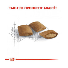 Load image into Gallery viewer, Nourriture Royal Canin pour Chat agé de 12 ans et plus - Boutique Le Jardin Des Animaux -Nourriture chatBoutique Le Jardin Des AnimauxRCFA060