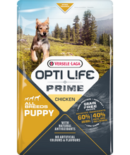 Load image into Gallery viewer, Opti Life dog food Skin Care Medium and Maxi with Salmon
