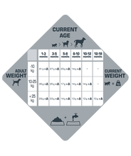 Load image into Gallery viewer, Opti Life dog food Skin Care Medium and Maxi with Salmon