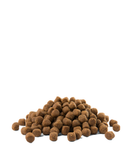 Load image into Gallery viewer, Opti Life dog food Skin Care Medium and Maxi with Salmon