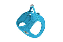 Load image into Gallery viewer, RC Pet Harnais Step In Cirque Turquoise - Boutique Le Jardin Des Animaux -HarnaisBoutique Le Jardin Des Animaux65401084