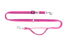 Load image into Gallery viewer, RC Pet Rainbow Paws Leash