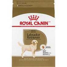 Load image into Gallery viewer, Royal Canin pour chien Labrador adulte - Boutique Le Jardin Des Animaux -Nourriture chienBoutique Le Jardin Des AnimauxRCXR300