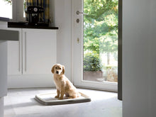 Load image into Gallery viewer, Savic ensemble de départ d’entraînement pour chien large - Boutique Le Jardin Des Animaux -entrainement proprrtéBoutique Le Jardin Des Animauxd-3241