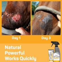 Load image into Gallery viewer, Silver Honey Pommade - pour une réparation rapide des plaies 57.6g - Absorbine - Boutique Le Jardin Des Animaux -Boutique Le Jardin Des AnimauxSHY45001