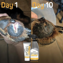 Load image into Gallery viewer, Silver Honey Pommade - pour une réparation rapide des plaies 57.6g - Absorbine - Boutique Le Jardin Des Animaux -Boutique Le Jardin Des AnimauxSHY45001