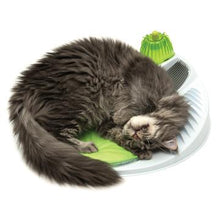 Load image into Gallery viewer, Station de bien-être Senses Catit 2.0 - Boutique Le Jardin Des Animaux -Jouet chatBoutique Le Jardin Des Animaux43153W