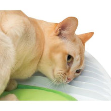 Load image into Gallery viewer, Station de bien-être Senses Catit 2.0 - Boutique Le Jardin Des Animaux -Jouet chatBoutique Le Jardin Des Animaux43153W