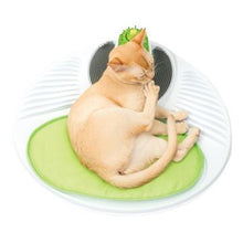 Load image into Gallery viewer, Station de bien-être Senses Catit 2.0 - Boutique Le Jardin Des Animaux -Jouet chatBoutique Le Jardin Des Animaux43153W