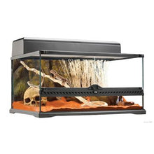 Load image into Gallery viewer, Terrarium en verre Exo Terra, moyen, bas, 24in x 18in x 12in - Boutique Le Jardin Des Animaux -TerrariumBoutique Le Jardin Des AnimauxPT2604