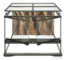 Load image into Gallery viewer, Terrarium en verre Exo Terra, petit, bas, 18in x 18in x 12in po - Boutique Le Jardin Des Animaux -TerrariumBoutique Le Jardin Des AnimauxPT2603