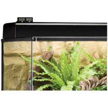 Load image into Gallery viewer, Thermomètre numérique Exo Terra - Boutique Le Jardin Des Animaux -temperatureBoutique Le Jardin Des AnimauxPT2472