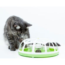 Load image into Gallery viewer, Tourniquet Senses Catit - Boutique Le Jardin Des Animaux -Jouet chatBoutique Le Jardin Des Animaux50738