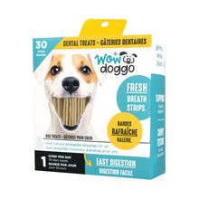 Load image into Gallery viewer, WOW DOGGO BANDE VANILLE ET MENTHE - Gâterie dentaire pour chien - Boutique Le Jardin Des Animaux -Gâterie pour chienBoutique Le Jardin Des Animauxwoo23524