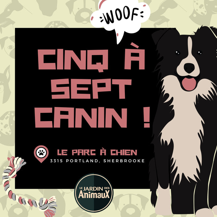 5 À 7 CANIN