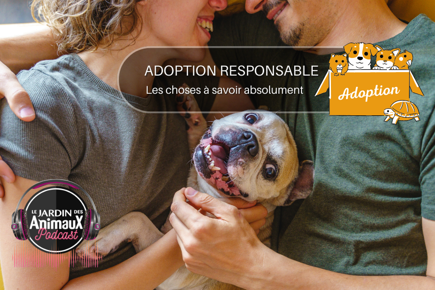 L'adoption responsable d'un animal