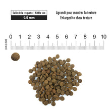 Load image into Gallery viewer, 1st Choice Nourriture pour chat sans grains- Hypoallergène - Morue
