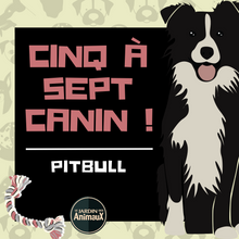 Load image into Gallery viewer, Frais d&#39;inscription à un 5 à 7 - regroupement de race de chiens

